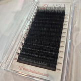 B CURL 0.05