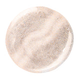 4.5g Gel No. 349 Stellar Champagne with Magnet