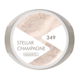 4.5g Gel No. 349 Stellar Champagne with Magnet