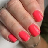 EVO Gel 043 Chelsea