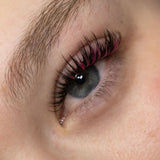 CC CURL 0.15