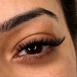 CC CURL 0.07