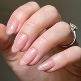 14ml GEMINI No 261 Lyrics Of A Lily