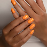 Colour Gel No 196 Marisol