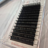 B CURL 0.15