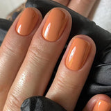 14ml GEMINI No 266 Clay Pathway
