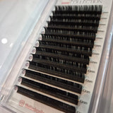 D Curl 0.20
