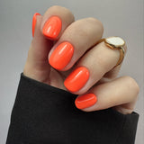 EVO Gel 179 Mariza