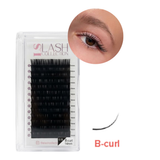 B CURL 0.15